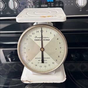 Vintage American Family Scale